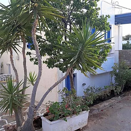 Holidays In Paros Hotel Alikí