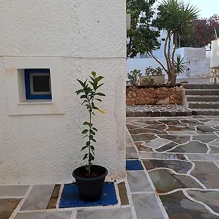 Ξενοδοχείο Holidays In Paros Αλυκή